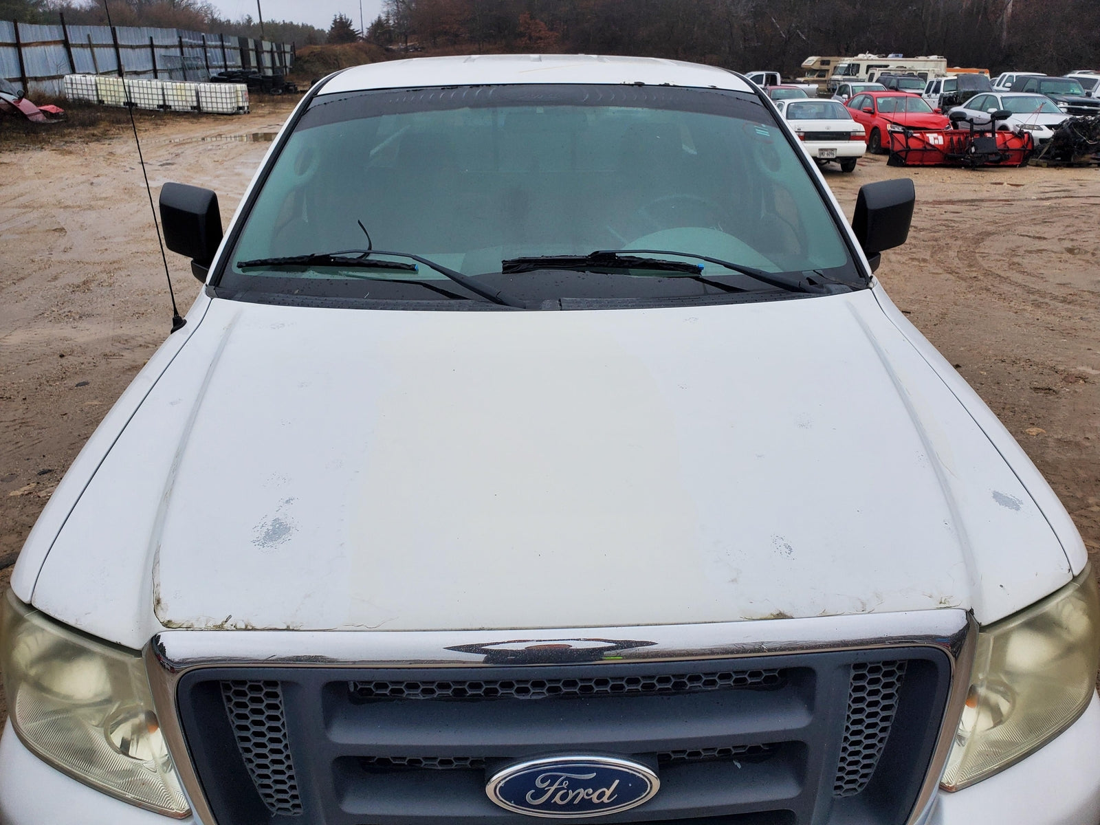 2004-2008 Ford F150 Hood (white)(w/o grille)(new style)(paint peel