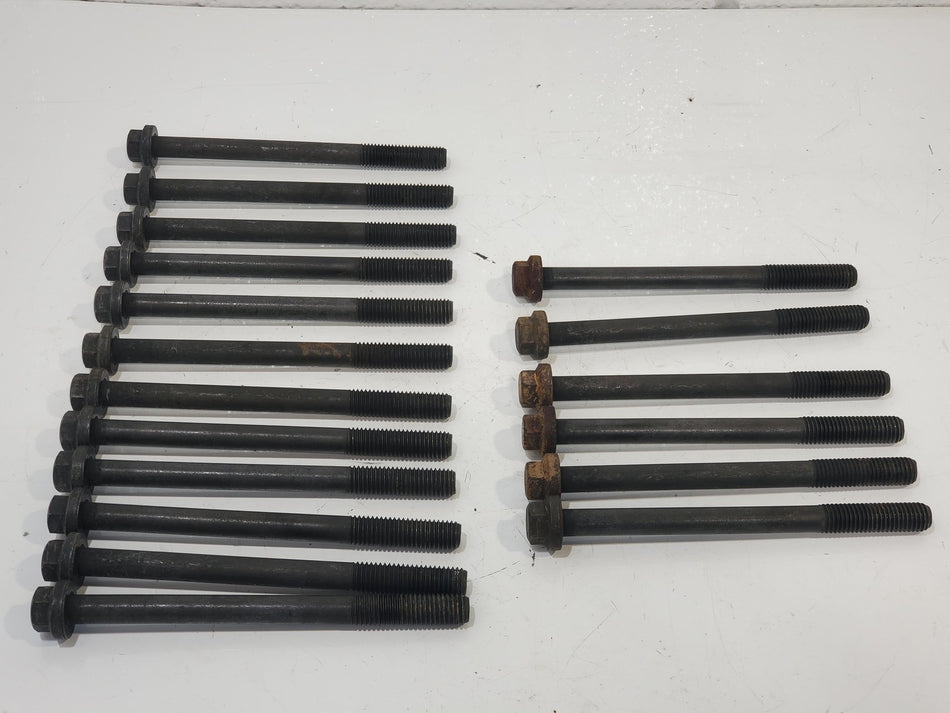 1994-2003 Ford F250 F350 7.3 Powerstroke Diesel 18 Factory Head Bolts OEM