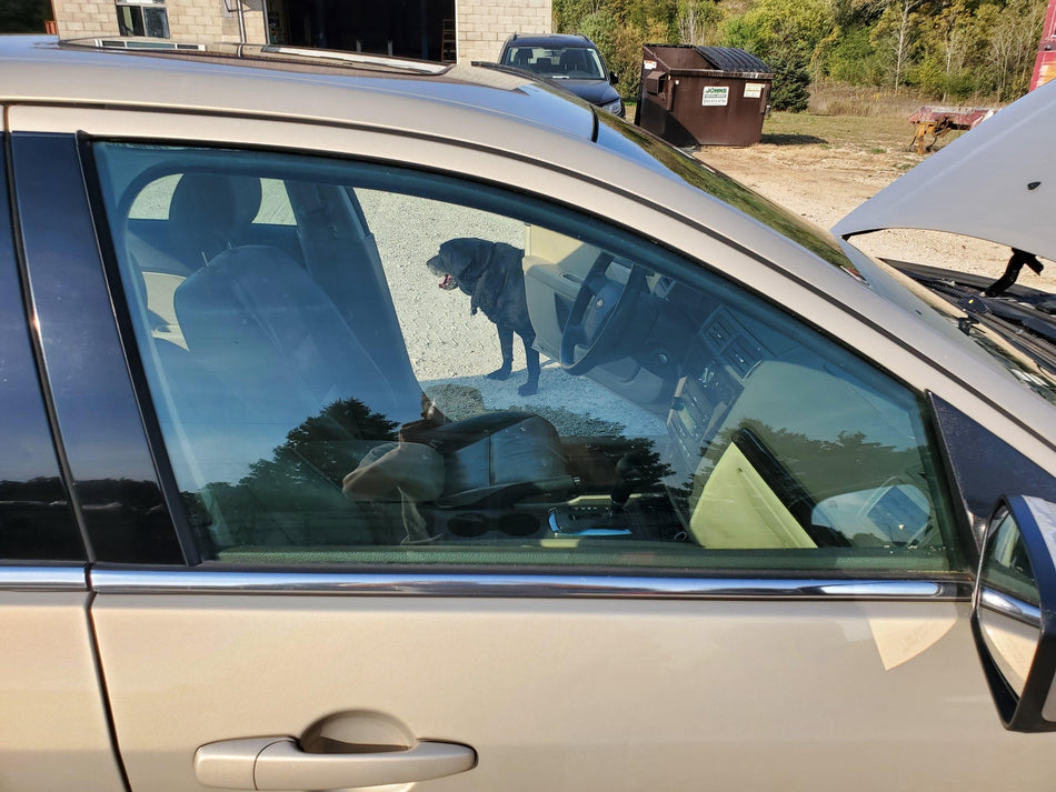 Front RH Door Glass/Window (AS2 solar tint) 2006-2012 Ford Fusion