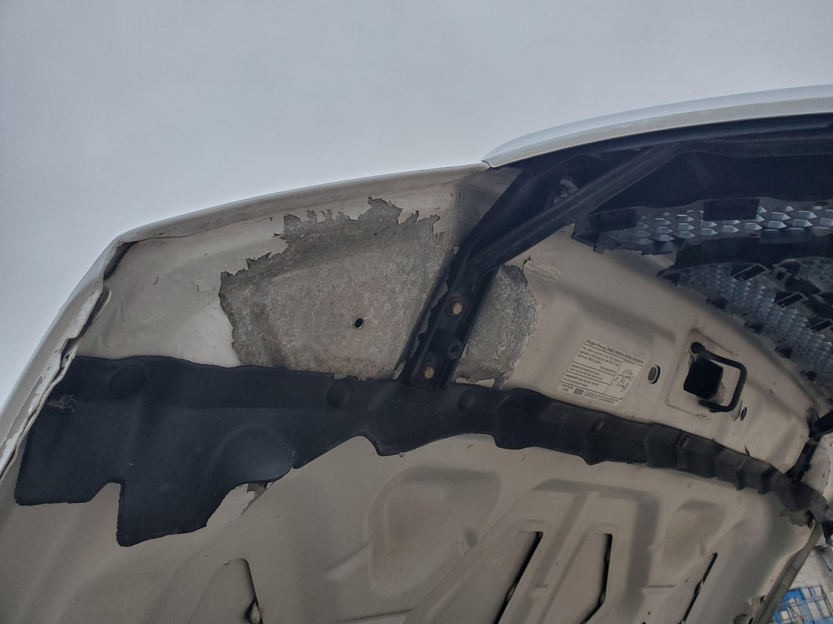 2004-2008 Ford F150 Hood (white)(w/o grille)(new style)(paint peel