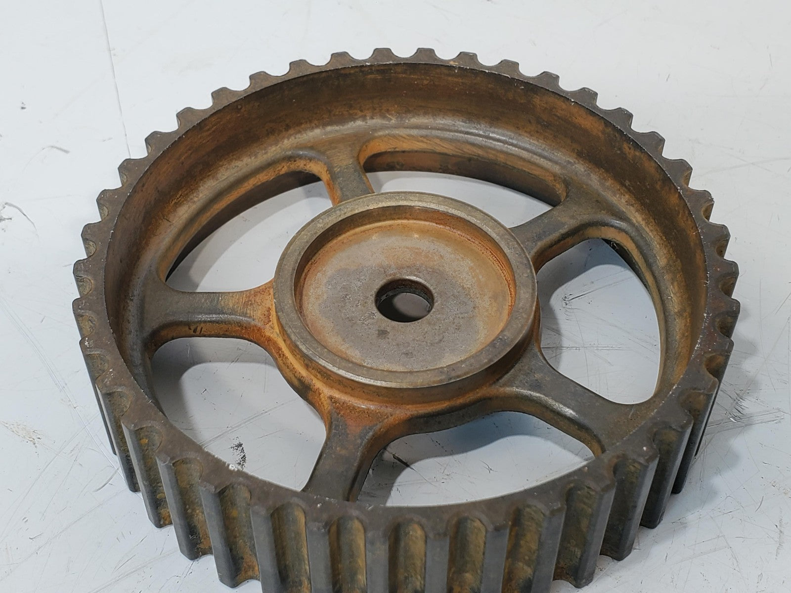 2002-2004 Ford Focus SVT Exhaust Timing Belt Cam Sprocket Camshaft Gear 2.0 DOHC