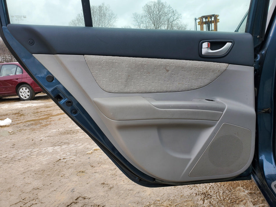 2006-2010 Hyundai Sonata Rear LH Inside Door Panel (driver side)(trim code FZ