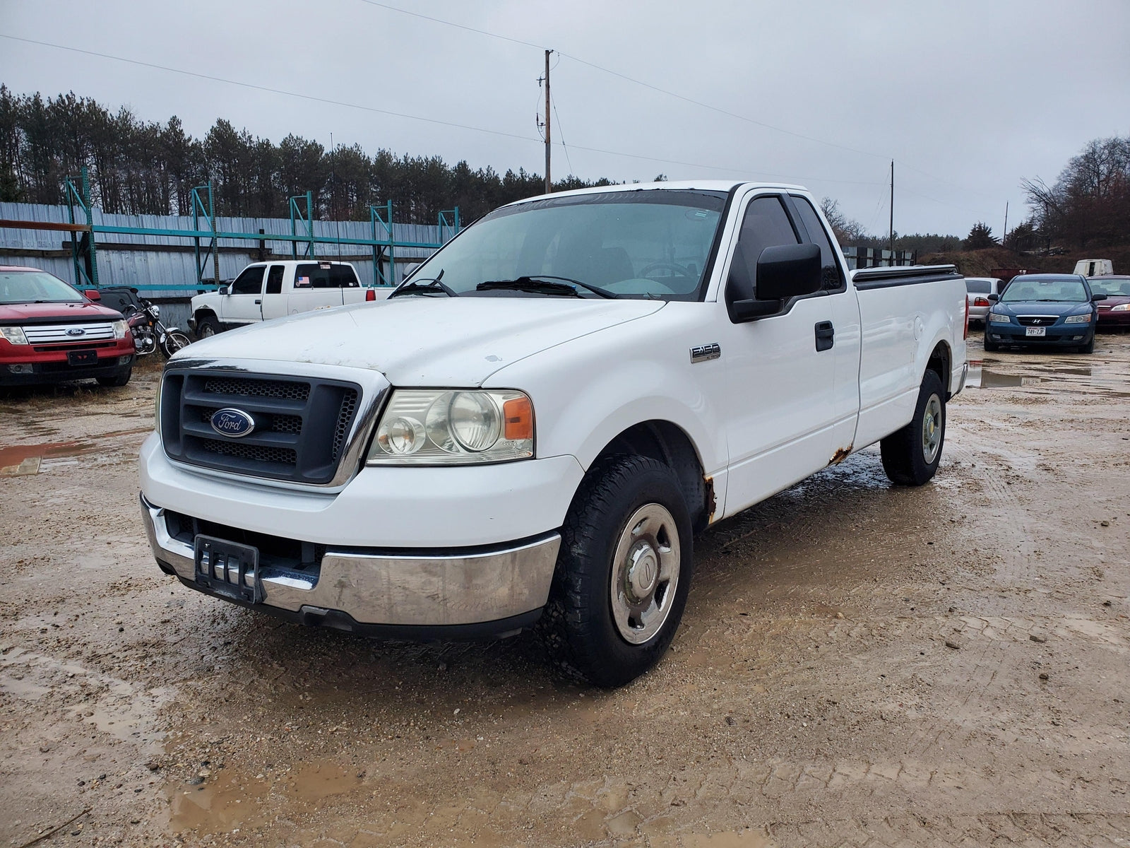 2004-2008 Ford F150 Hood (white)(w/o grille)(new style)(paint peel