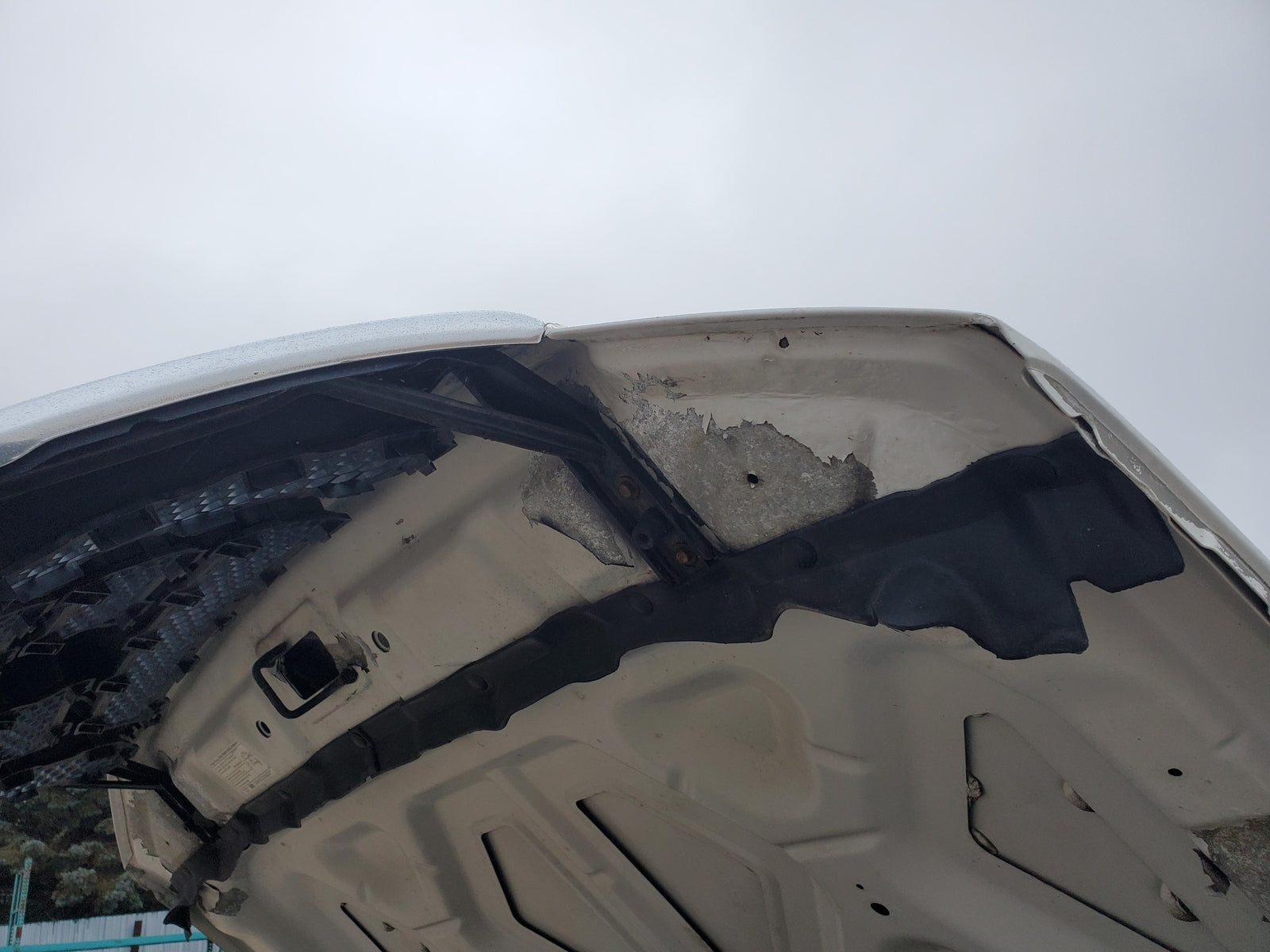 2004-2008 Ford F150 Hood (white)(w/o grille)(new style)(paint peel