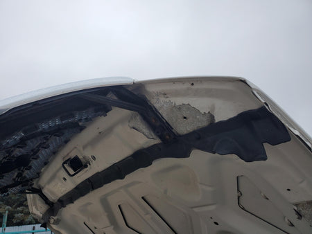 2004-2008 Ford F150 Hood (white)(w/o grille)(new style)(paint peel