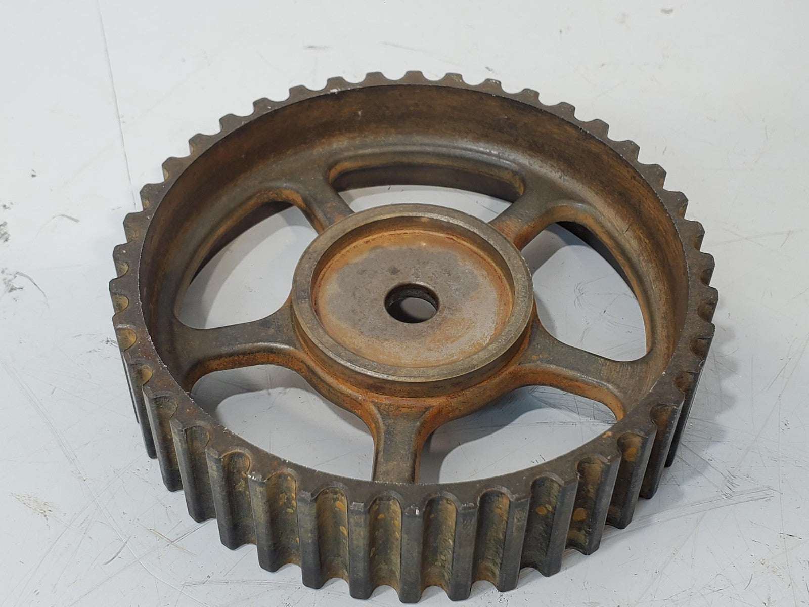 2002-2004 Ford Focus SVT Exhaust Timing Belt Cam Sprocket Camshaft Gear 2.0 DOHC